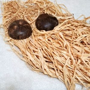 Costume Set: Grass Skirt and Coconut Bra